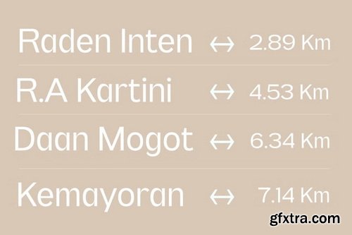 CreativeMarket - Pripun - San Serif Family