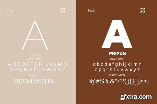 CreativeMarket - Pripun - San Serif Family