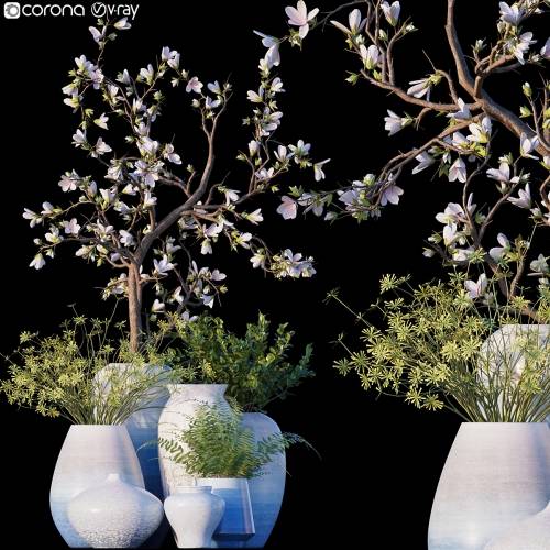 '3dsky Pro - Magnolia / Microsorum pteropus'