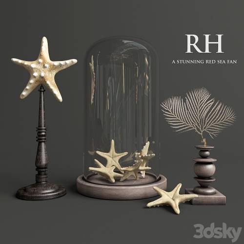 '3dsky Pro - A stunning red sea fan'