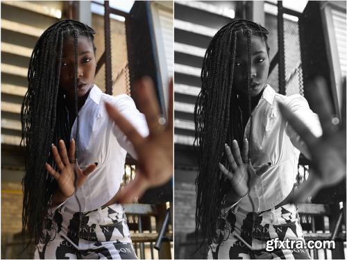 Nathan Elson - Lightroom Presets + Profiles Collection v4