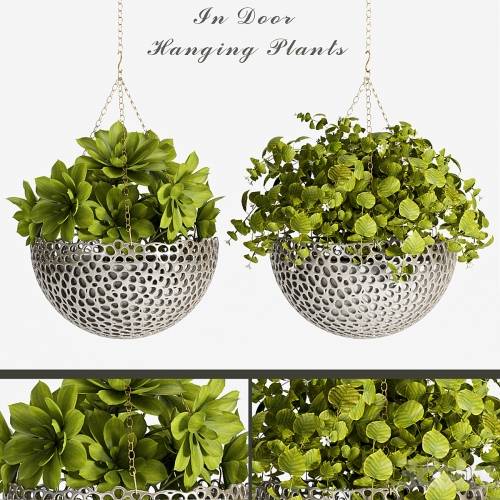 '3dsky Pro - PLANT SET -62' '3dsky Pro - PLANT SET -62'