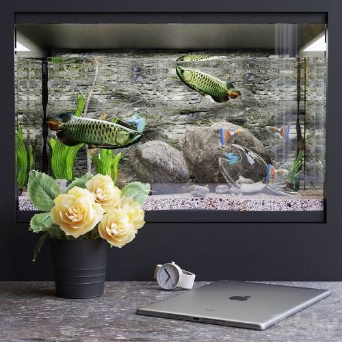 '3dsky Pro - Decorative set with aquarium'