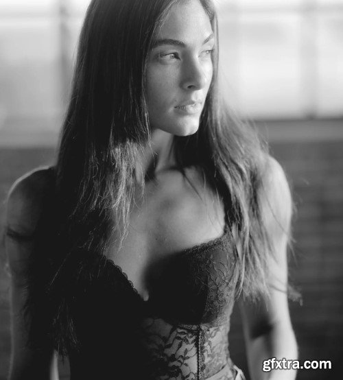 The Editorial Edit - Master Collection V2.1