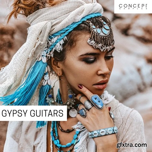 Concept Samples Gypsy Guitars