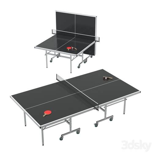 '3dsky Pro - Brunswick Indoor / Outdoor Tournament Table Tennis'