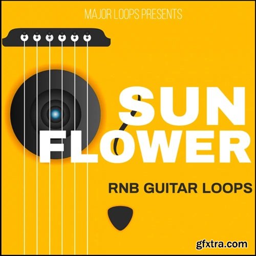 Major Loops Sunflower