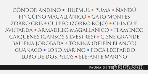 MyFonts - PGF Glyphos Font Family