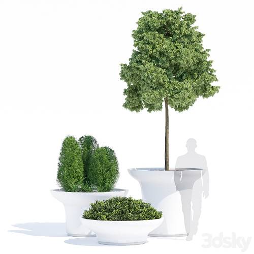 '3dsky Pro - Balzac planters'