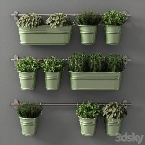 '3dsky Pro - plants set 08' '3dsky Pro - plants set 08'