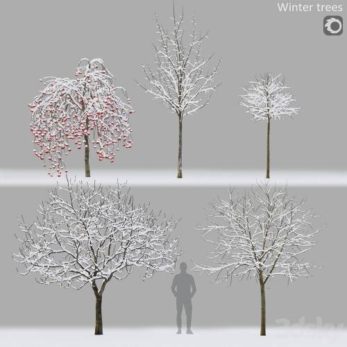 '3dsky Pro - Winter trees # 1'