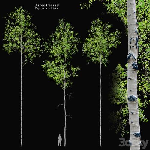 '3dsky Pro - aspen tree set'