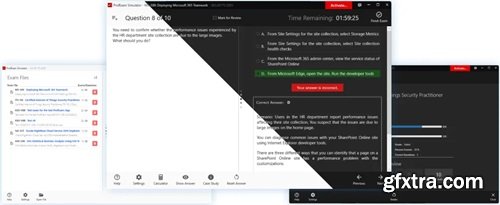 ProfExam Simulator 8.1.3.21