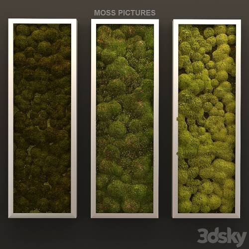 '3dsky Pro - Moss pictures'