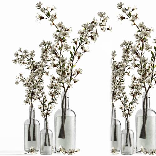 '3dsky Pro - Bouquet to cozy the house'