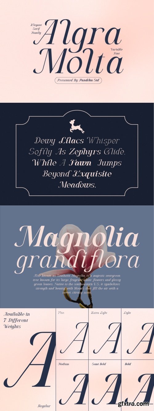 Algra Molta - Elegant Serif Family