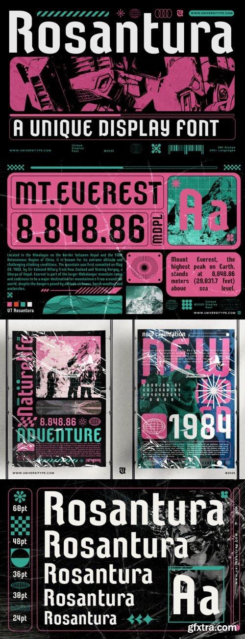CreativeMarket - UT Rosantura : A Unique Display Font 291138895