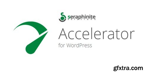 Seraphinite Accelerator (Full, Premium) v2.27.21