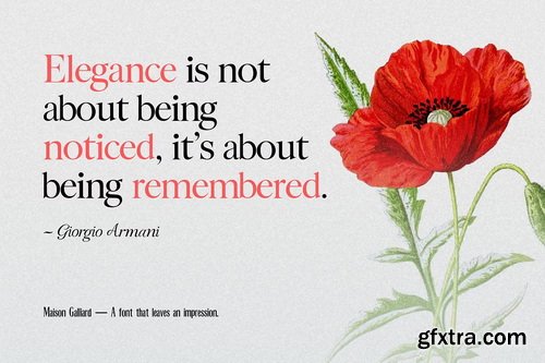 CreativeMarket - Maison Galliard – Elegant Font Trio