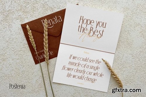 CreativeMarket - Postenia Elegant Display Serif