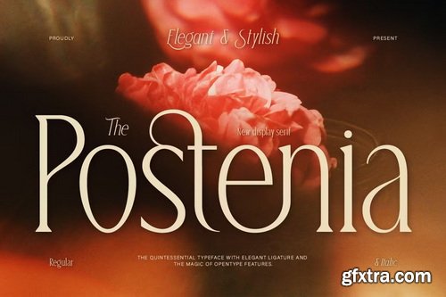 CreativeMarket - Postenia Elegant Display Serif