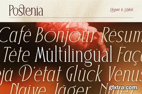 CreativeMarket - Postenia Elegant Display Serif