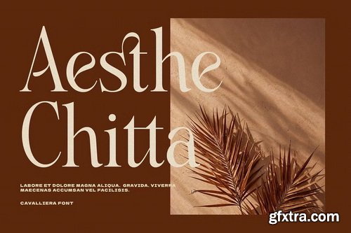 CreativeMarket - Cavalliera - Graceful Serif Typeface