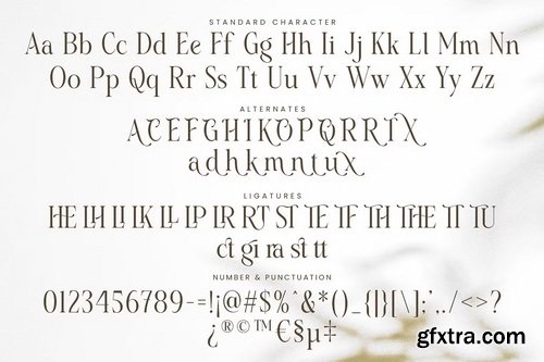 CreativeMarket - Cavalliera - Graceful Serif Typeface