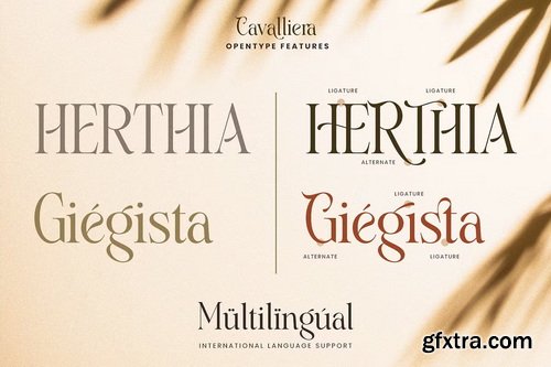 CreativeMarket - Cavalliera - Graceful Serif Typeface