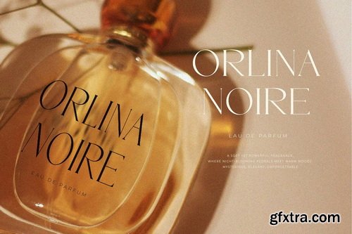 CreativeMarket - SERMO - elegant serif font