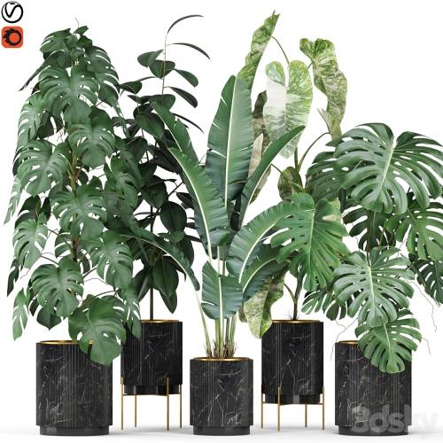 '3dsky Pro - Plants collection 584'
