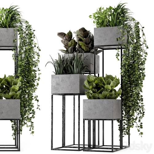 '3dsky Pro - Indoor Plants in rusty Concrete Pot on Metal Shelf - Set 221'