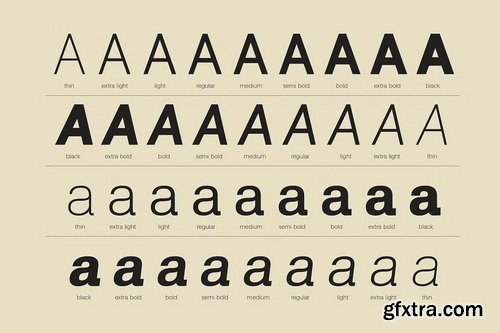 CreativeMarket - Lenia Sans Family