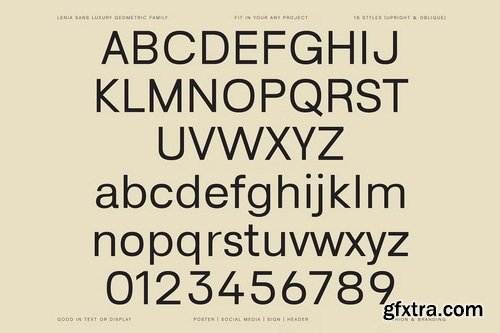 CreativeMarket - Lenia Sans Family