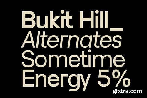 CreativeMarket - Lenia Sans Family