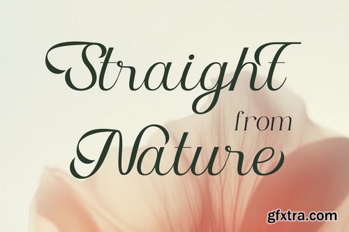 CreativeMarket - Kalita - Modern Elegant Script Font