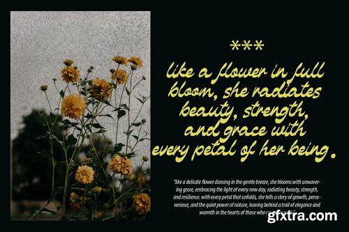 CreativeMarket - Monlight Modern Script Retro Font