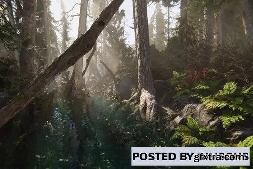 KWS Water System (HDRP Rendering) v1.5.9c