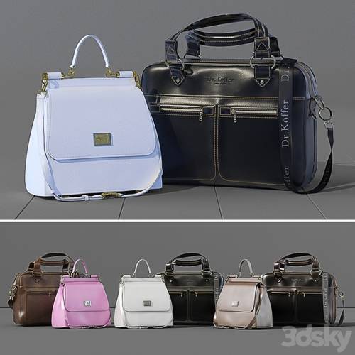 '3dsky Pro - Business leather bag Dr.Koffer + women's bag Dolce Gabbana'