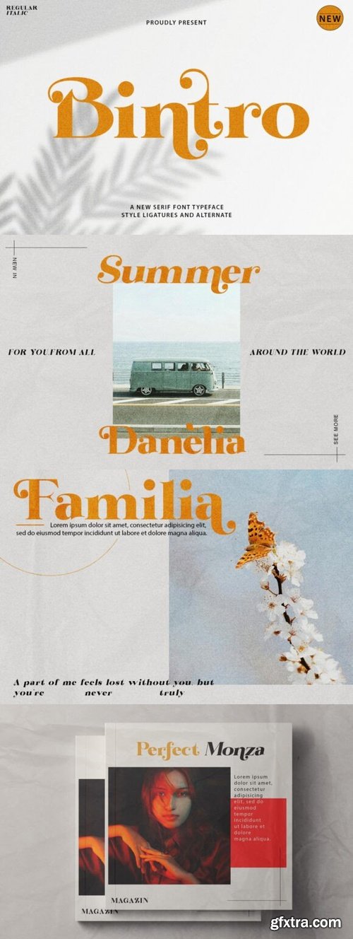 CreativeMarket - Bintro Font 291371856