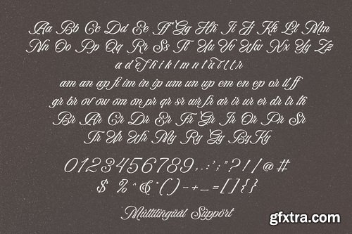 CreativeMarket - Bella Elegante - Calligraphy Font