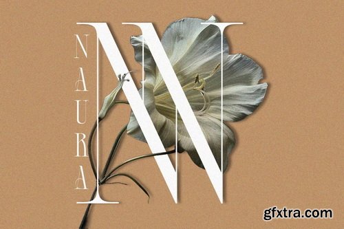 CreativeMarket - Acher - Elegant Luxury Serif