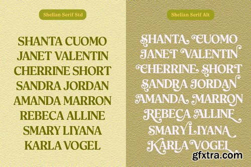 CreativeMarket - Shelian Typeface