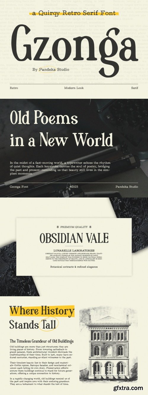 CreativeMarket - Gzonga - Retro Charm Serif 291373005