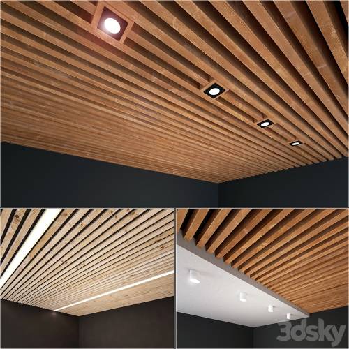 '3dsky Pro - Wooden ceiling 5' '3dsky Pro - Wooden ceiling 5'