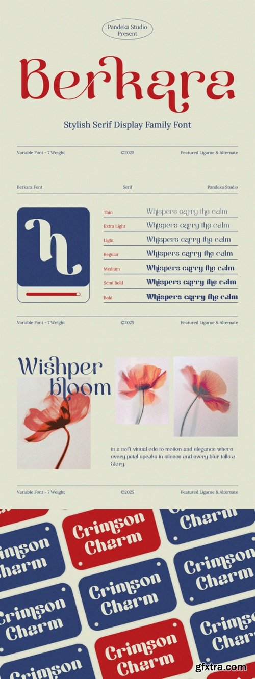 CreativeMarket - Berkara - Stylish Serif Display 291339675
