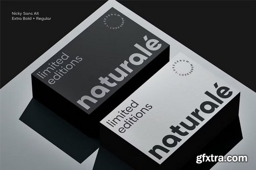 CreativeMarket - Nicky Sans Complete Family