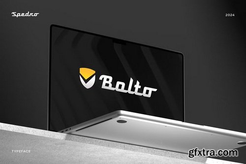 CreativeMarket - Spedro Sporty Script Font