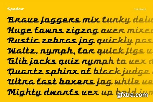 CreativeMarket - Spedro Sporty Script Font