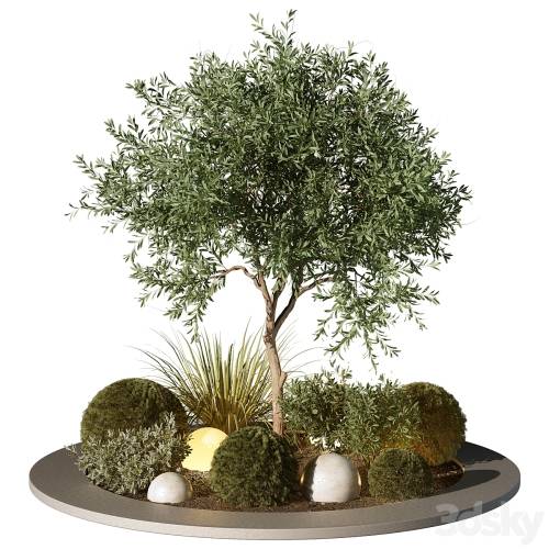 '3dsky Pro - Outdoor Plant 196'